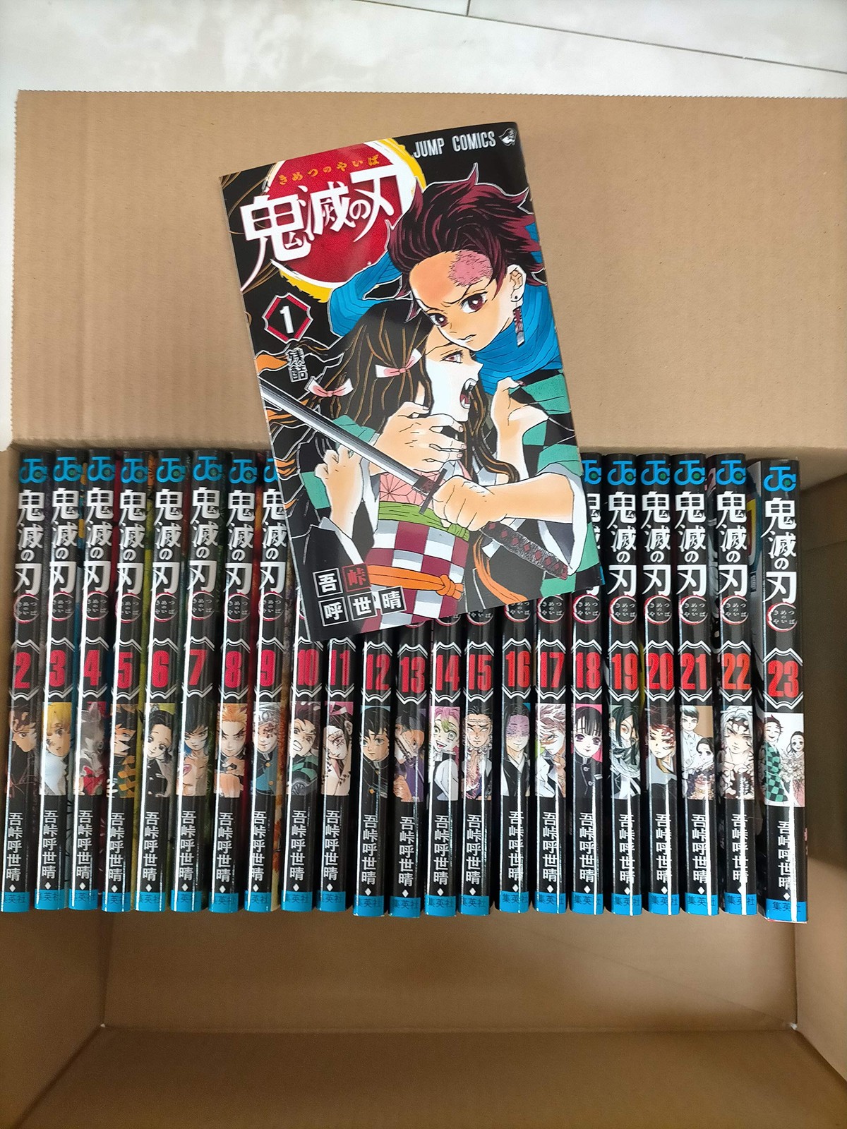 Demon Slayer Kimetsu no Yaiba manga completo vol. Set 1-23
