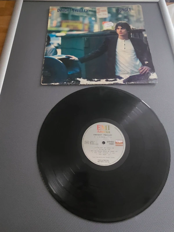 Vinyl