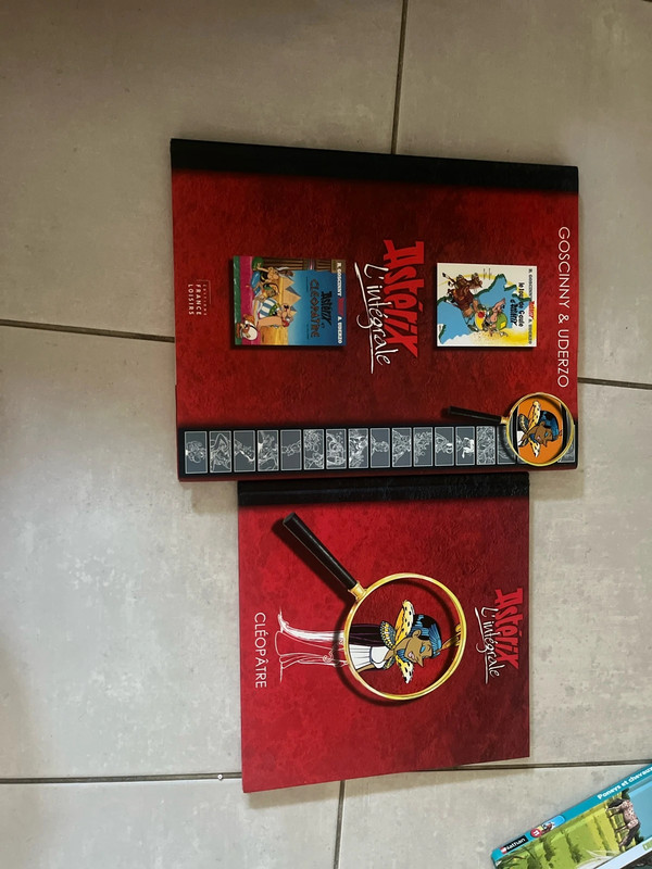 Livres Astérix l'intégrale