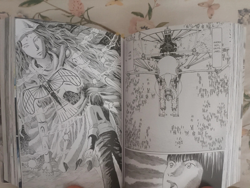 Manga rebajo 5€