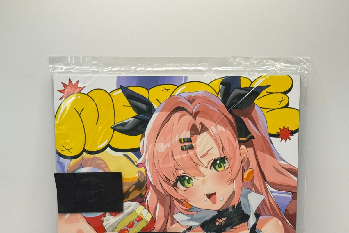 Zenless Zone Zero Doujinshi / Illustrazione Giappone