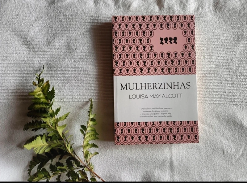 Livro novo mulherzinhas