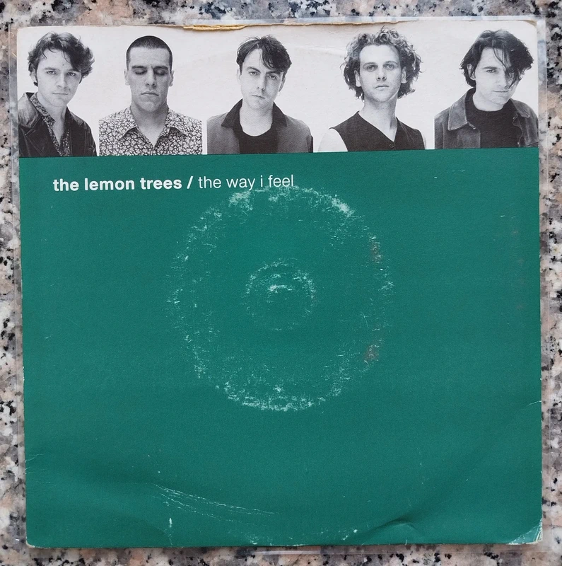 Vinile 45 Giri The Lemon Trees The Way I Feel 1992 UK