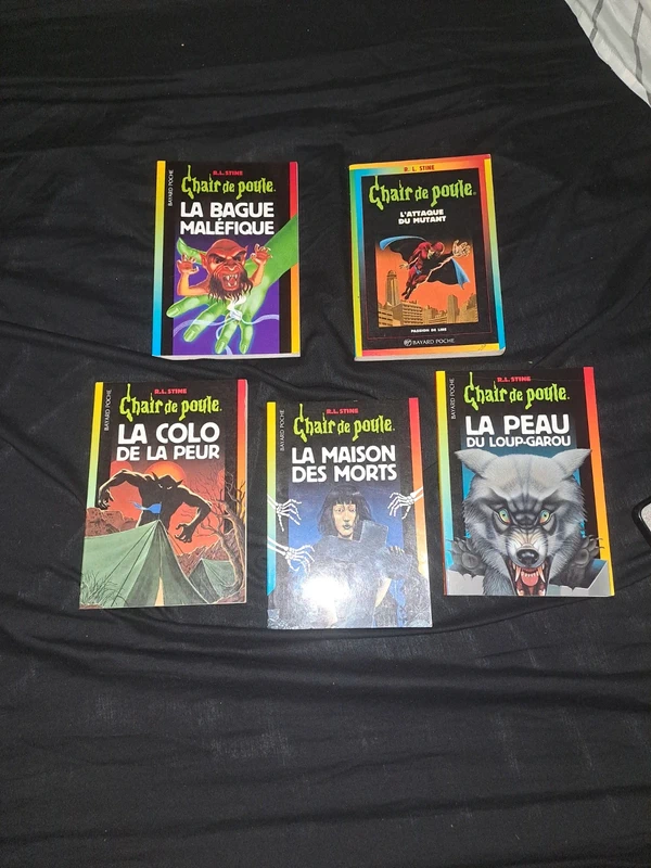 Livre chair de poule lot