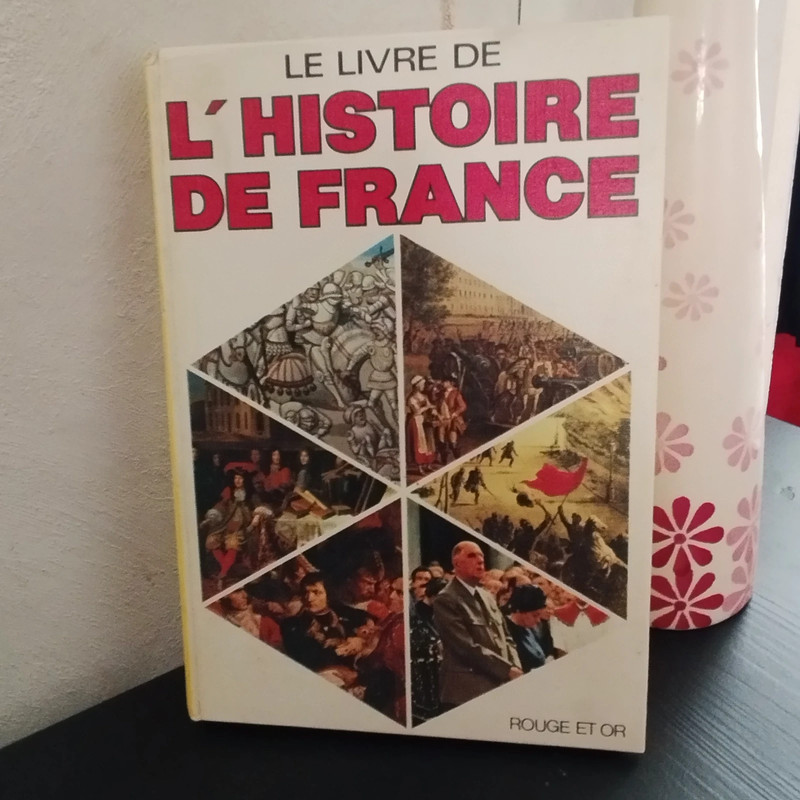 Livre "Le livre de L'Histoire de France"