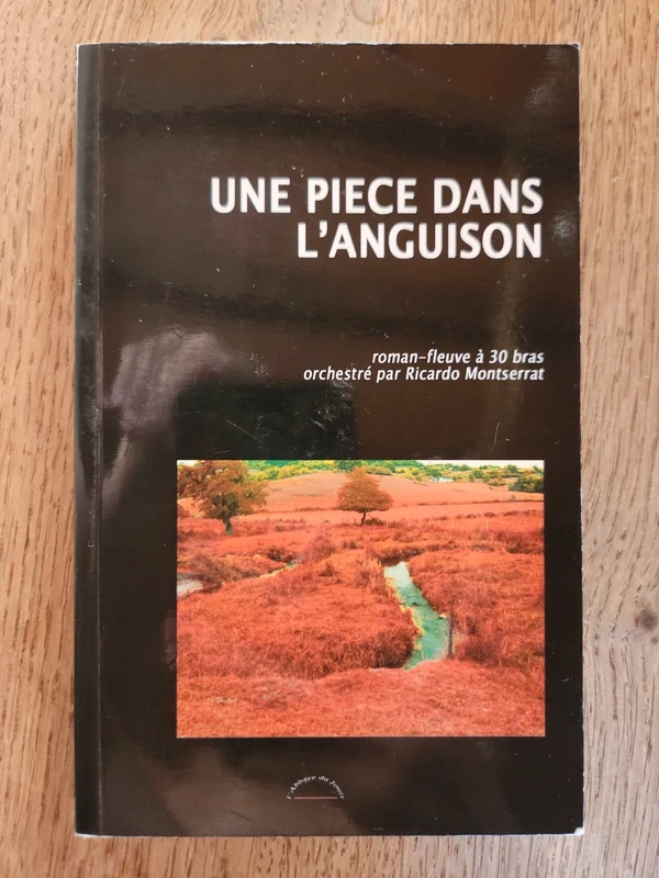 Livre une pièce dans languison roman fleuve a 30 bras orchestre par Ricardo montserrat
