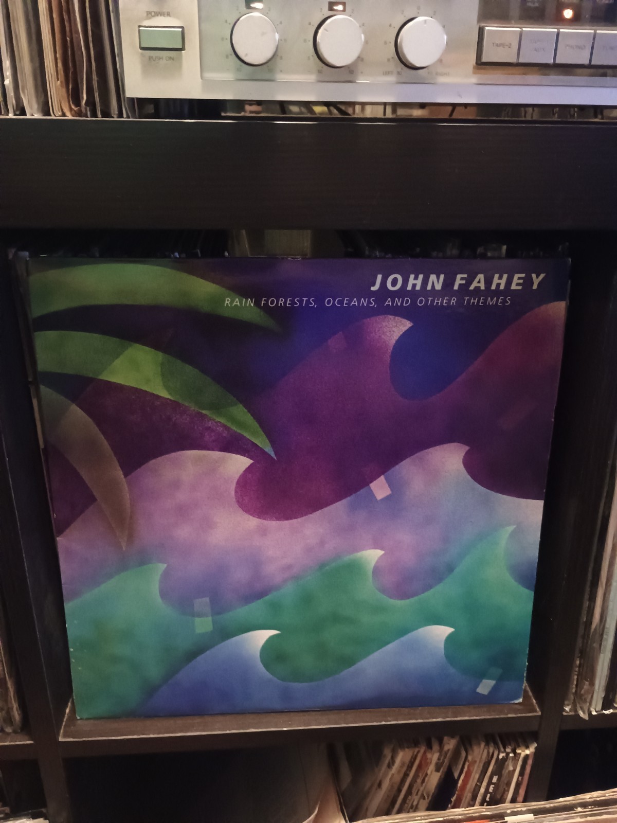 JOHN FAHEY "Rain Forests, Oceans, and Other Themes" LP 1985 Varrick VR-019 VG+