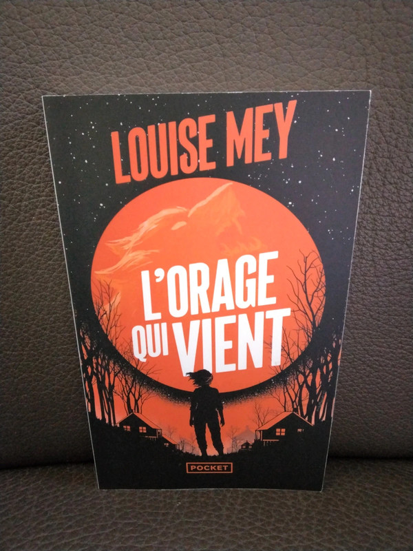 L’orage qui vient - Louise Mey