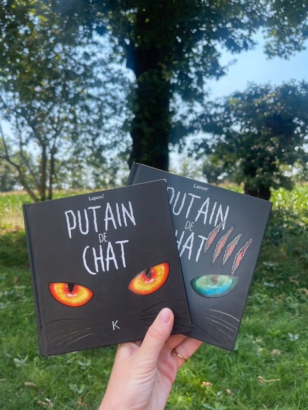 🌸 lot de deux bd / putain de chat / 🌸