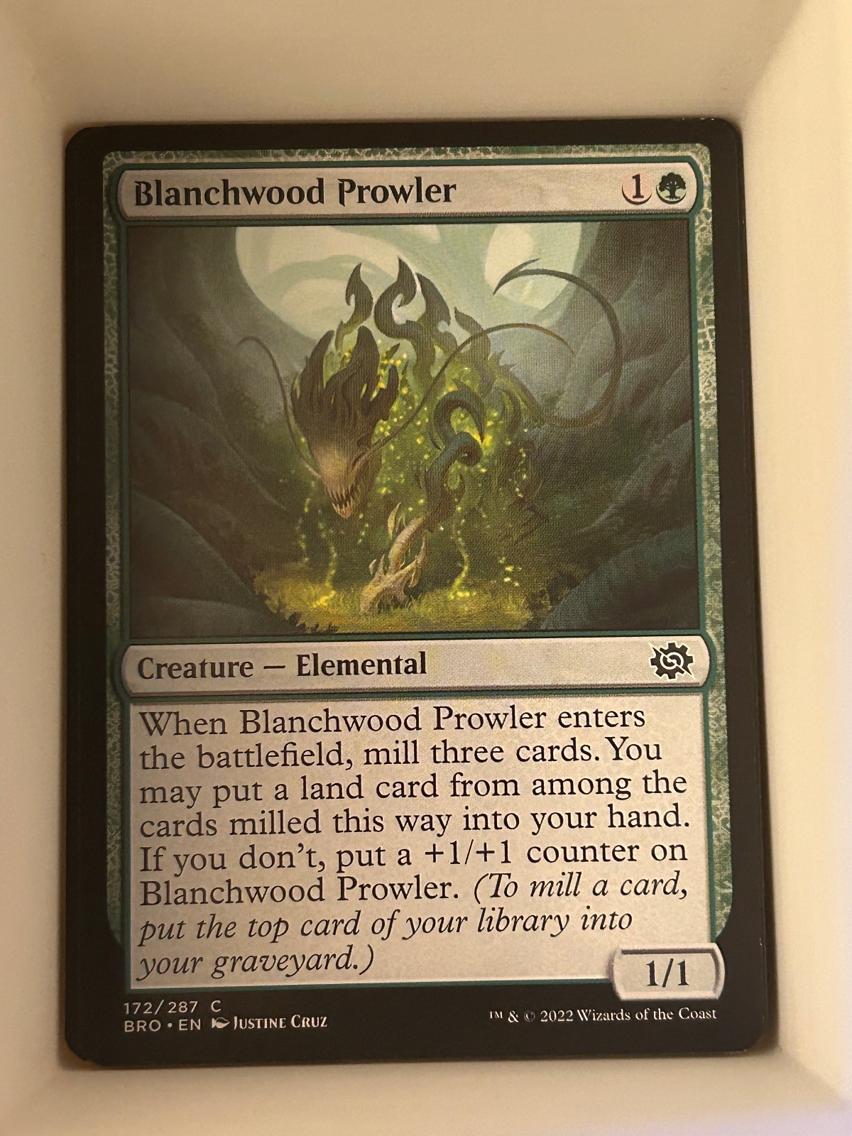 Blanchwood Prowler 172 Common The Brothers' War Magic: The Gathering Near Mint