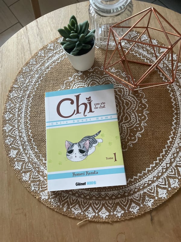 Manga chi une vie de chat