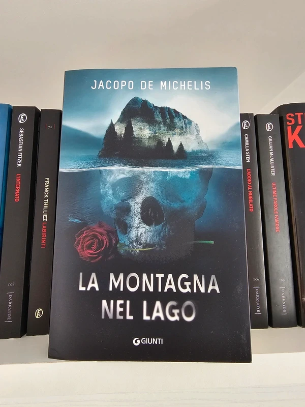 La montagna nel lago - Jacopo De Michelis