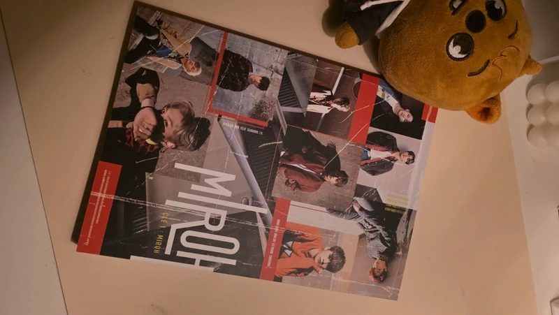 Stray kids miroh