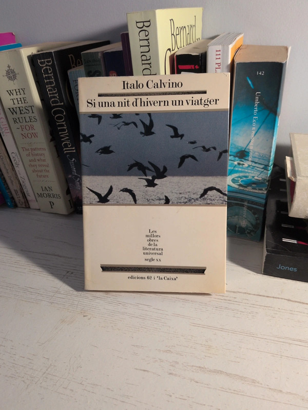 Book - si una nit d'hivern un viatger
