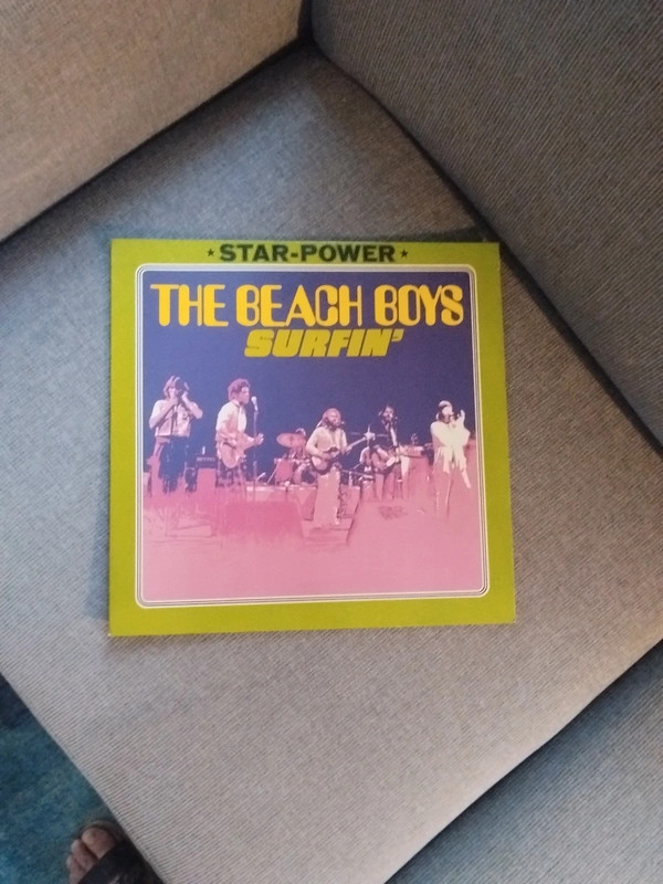 LP Vinyl The Beach Boys