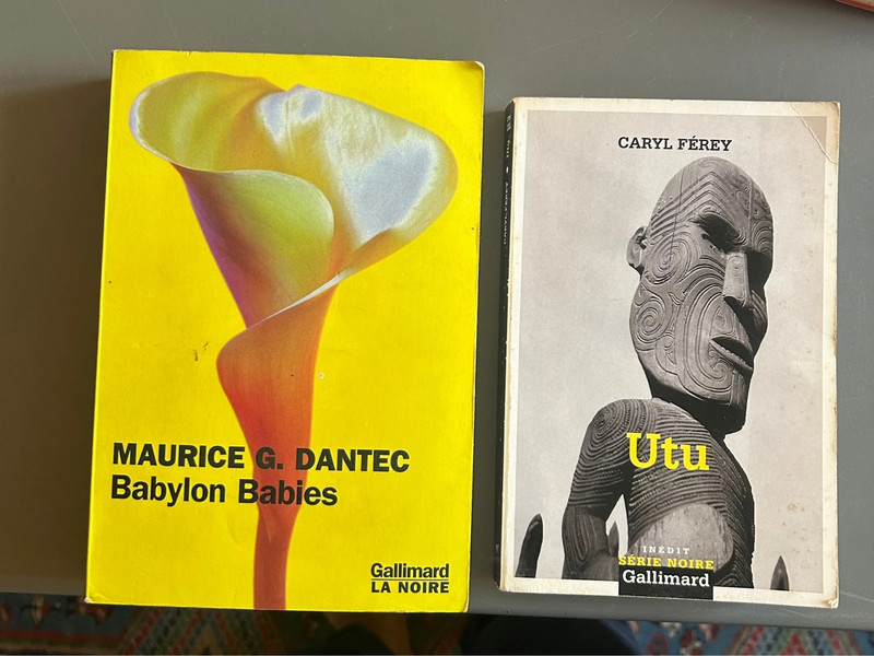 2 livres série noire Gallimard