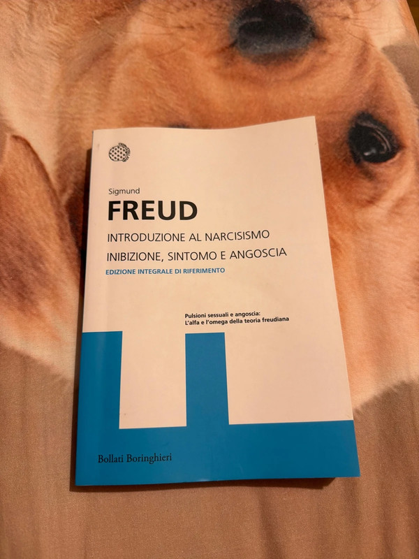 “Introduzione al narcisismo, inibizione, sintomo e angoscia”