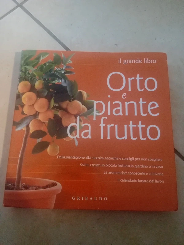 Orto piante frutti