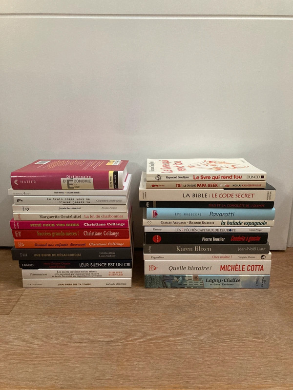 Lot de 24 livres divers