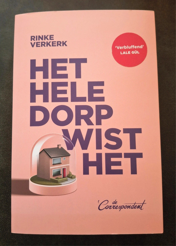 Het hele dorp wist het - Rinke Verkerk