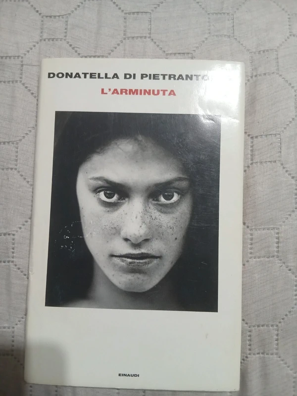 L'Arminuta di Donatella Di Pietrantonio