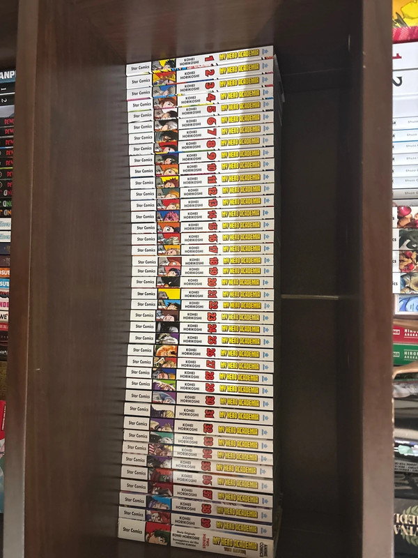 My hero academia + romanzo