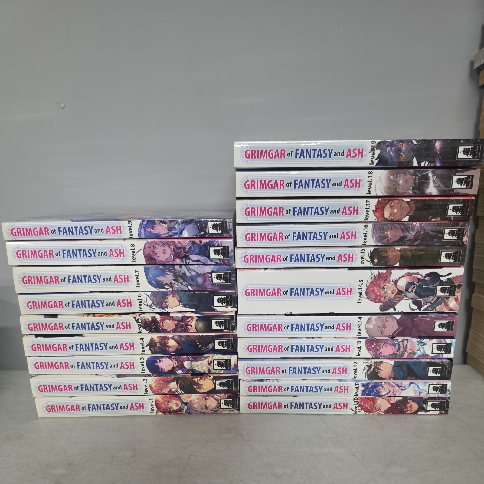 Grimgar Of Fantasy & Ash Volumi 1-21 Light Novel Set da 1 a 19