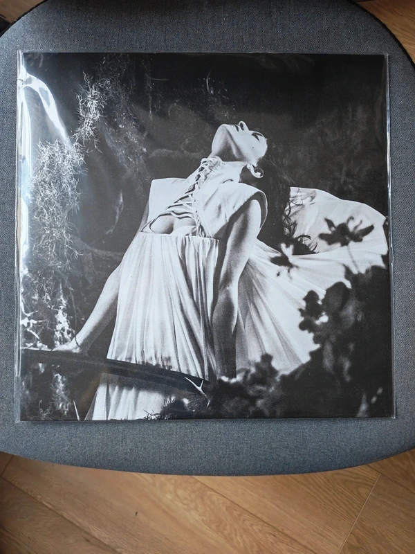Vinyle Not For Radio - Bloom