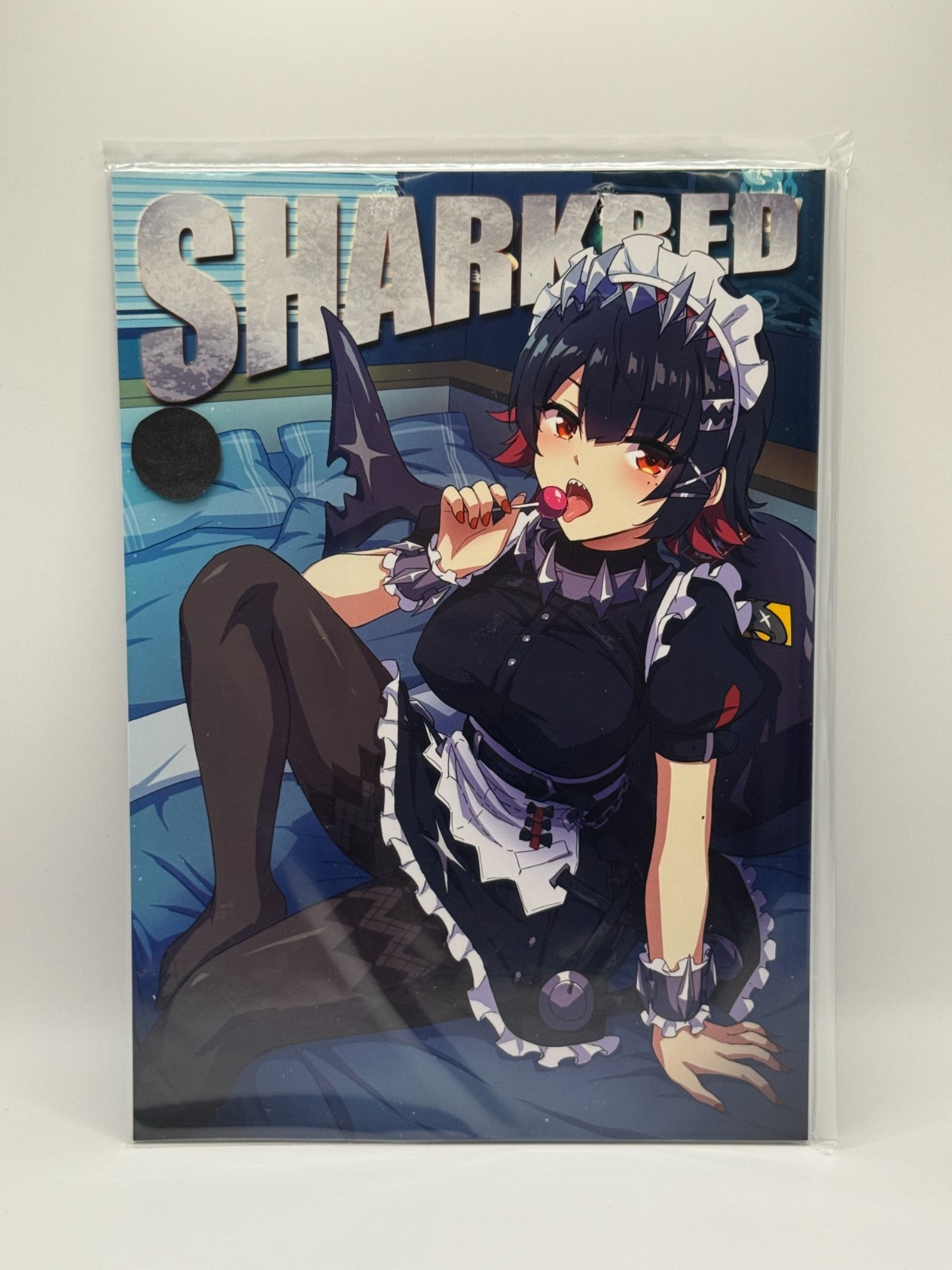 Zenless Zone Zero Doujinshi / Illustrazione Giappone
