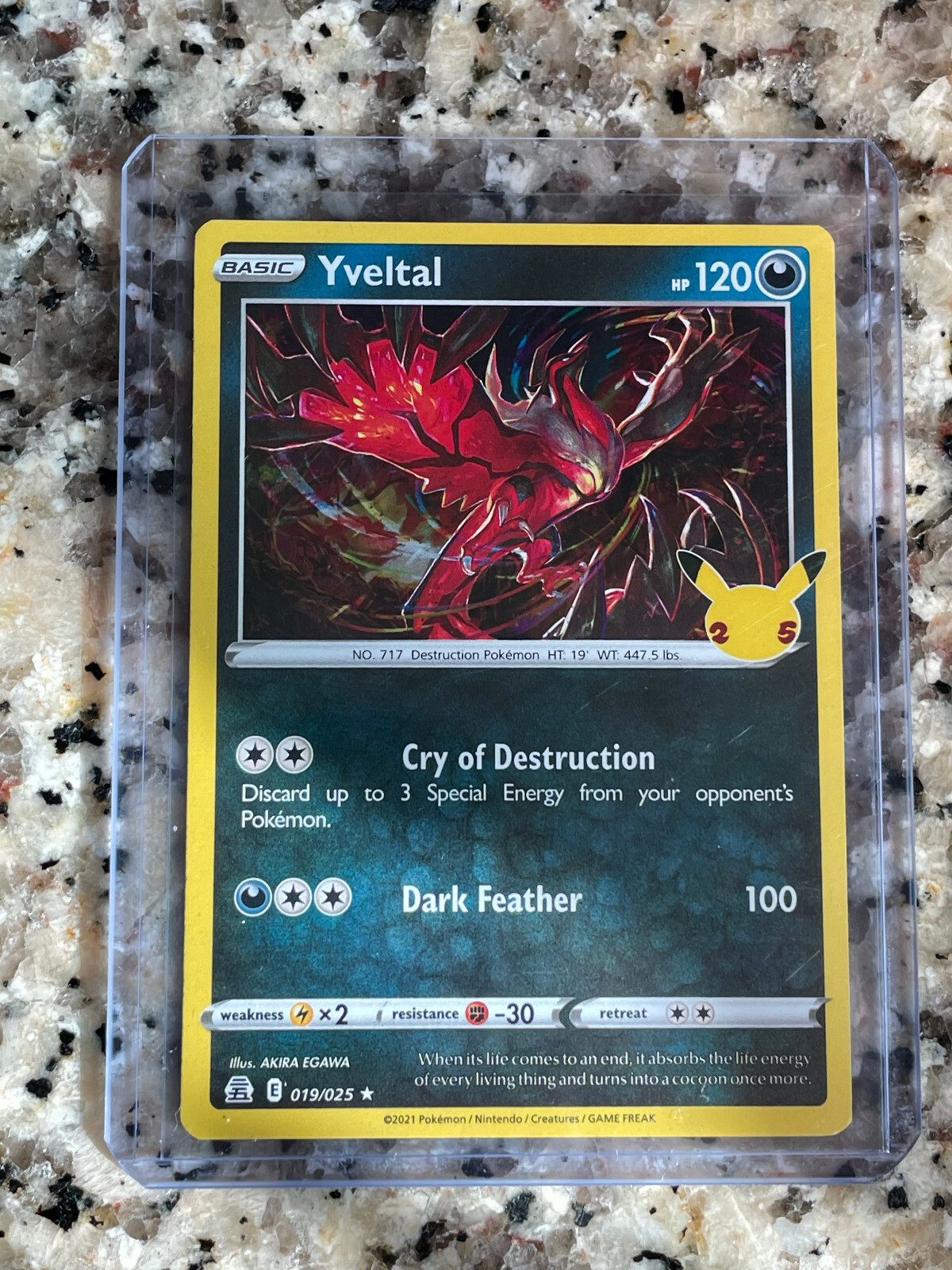 🔥Pokémon - Pokemon TCG: Celebrations Yveltal 019🔥