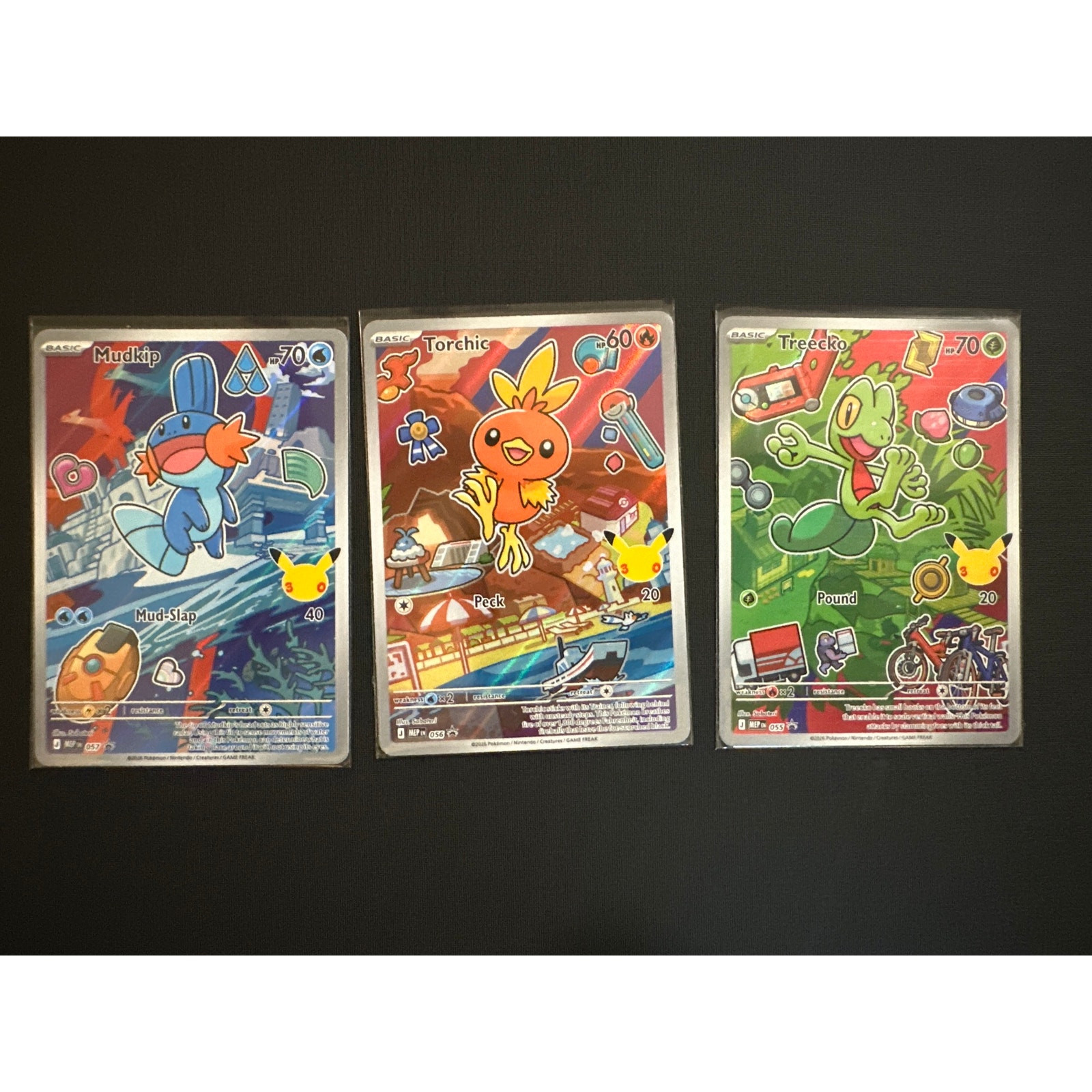 Set Hoenn First Partner Series 3 Gen 3, Mudkip, Treecko e Torchic