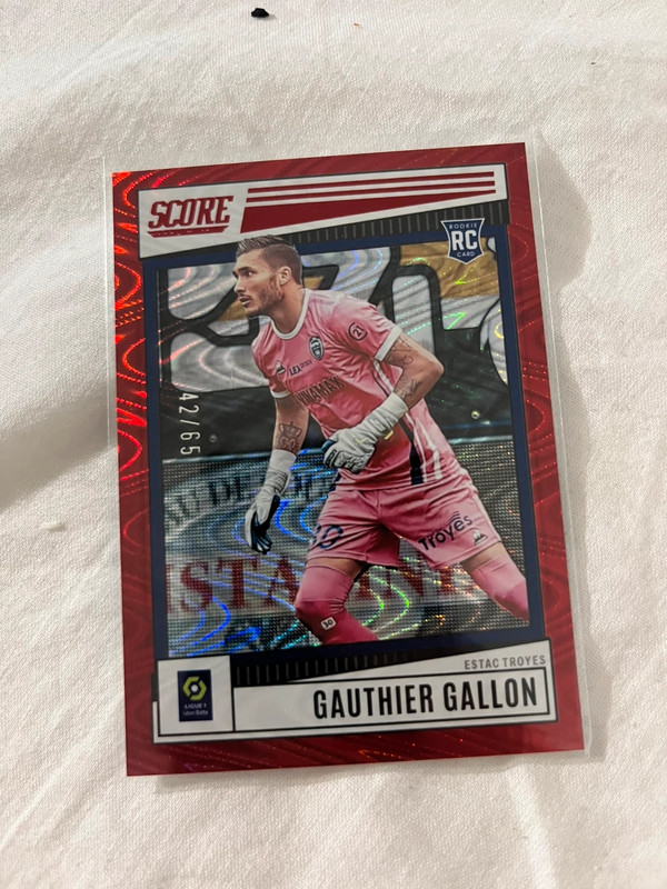 Carte foot panini gallon 42/65