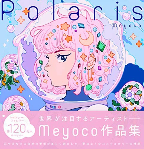 Polaris L'arte del Meyoco GIAPPONE Illustrazione Libro d'arte Forma JP