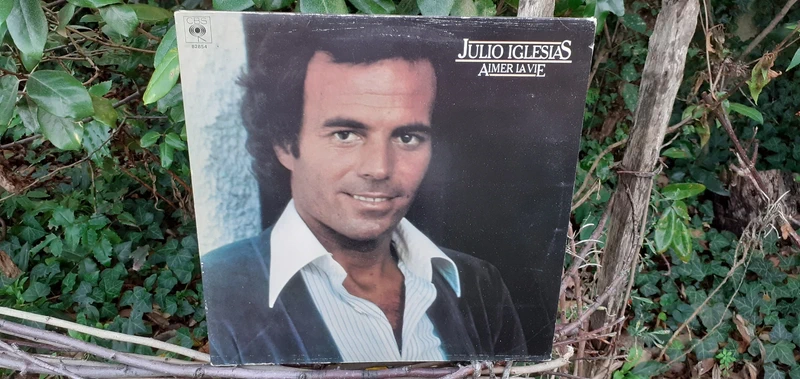 Julio Iglésias - Aimer la vie ( Vinyl 33 tours occasion en très bon état 10 titres)
