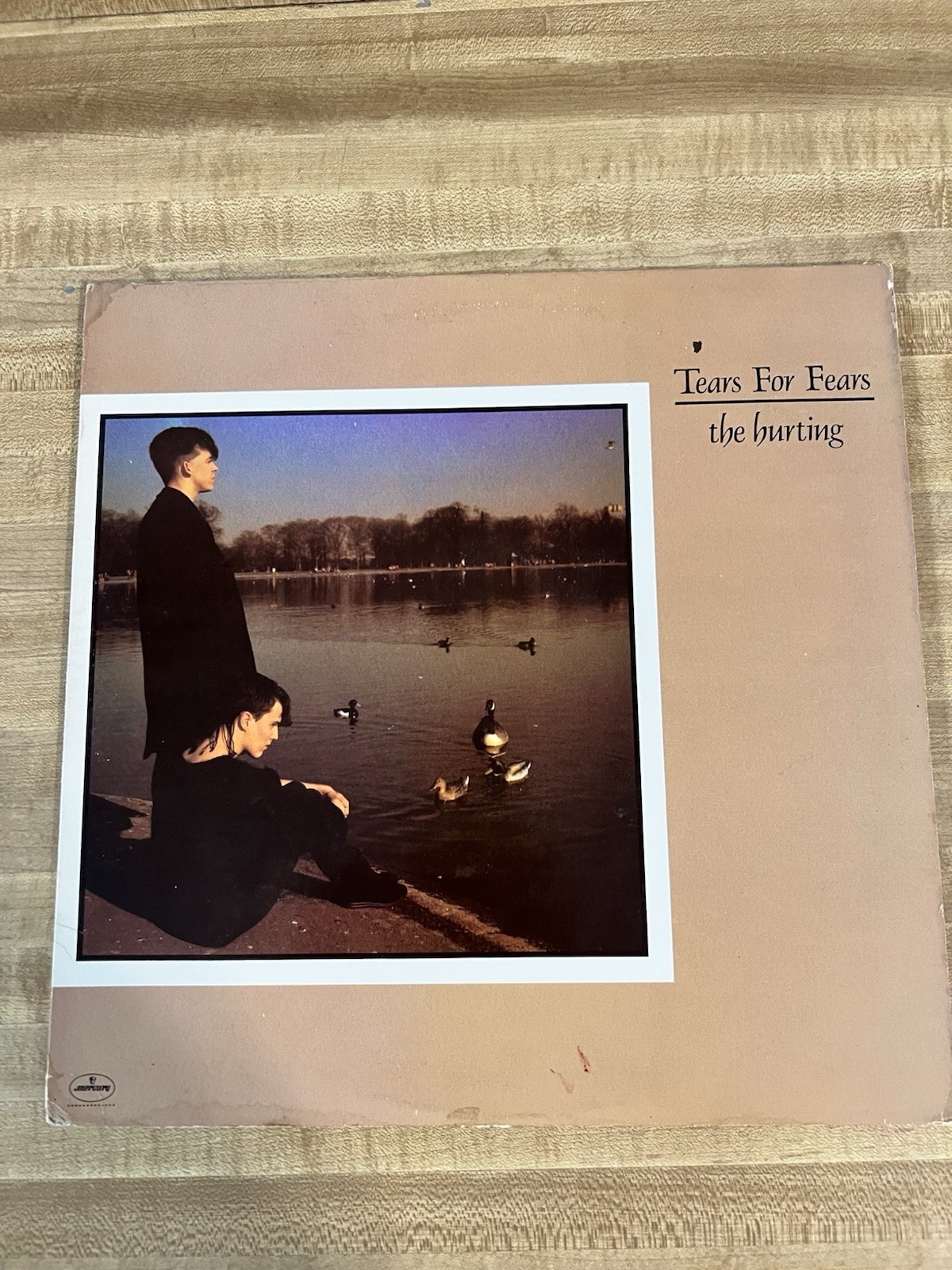 Tears For Fears The Hurting 1983 US LP Mercury MASTERDISK HRM Original Inner