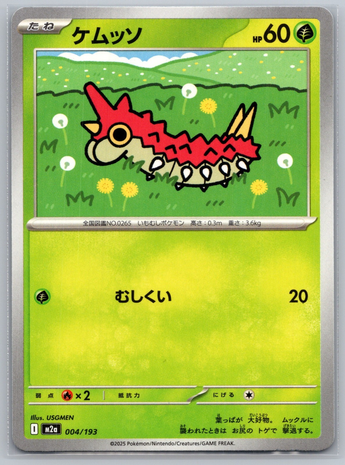 Wurmple~Carte Pokemon Carine ~ Collezione Pokemon Tipo Erba