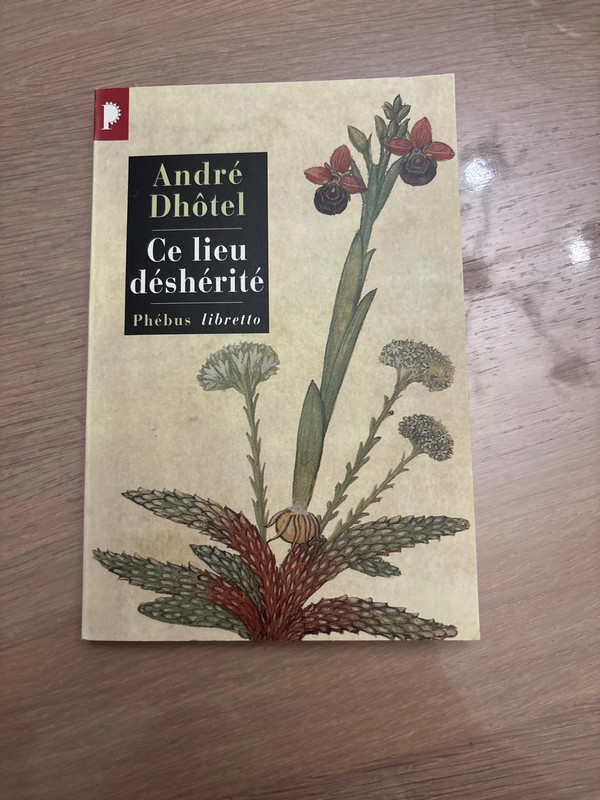 Ce lieu déshérité André Dhôtel
