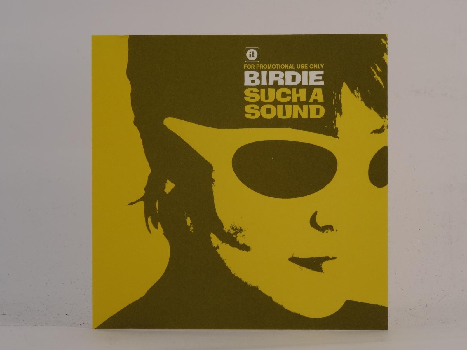 BIRDIE SUCH A SOUND (E59) 1 Track Promo CD Single plus Picture Sleeve IT RECORDS