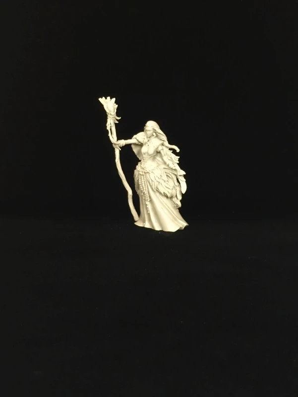 Druida d&d
