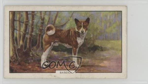 1938 Gallaher Cani Serie 2 Tabacco Basenji #43 0j8f