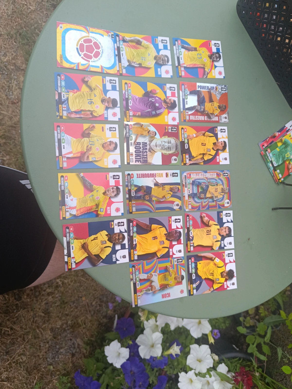 Cartes Adrenalyn XL Panini Coupe du Monde 2026
