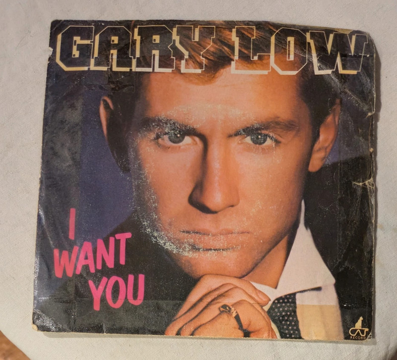 45giri-Gary Low-I Want You/I Want You Instrumental