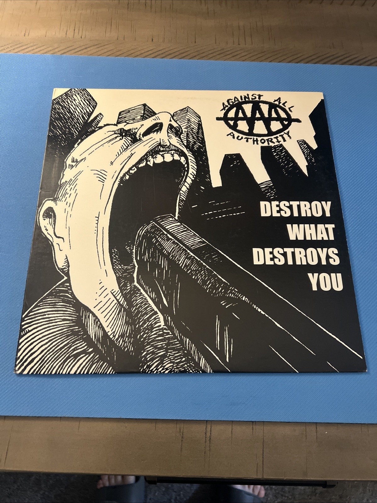 Against All Authority - Destroy What Destroys You - Vinyl LP Punk Ska