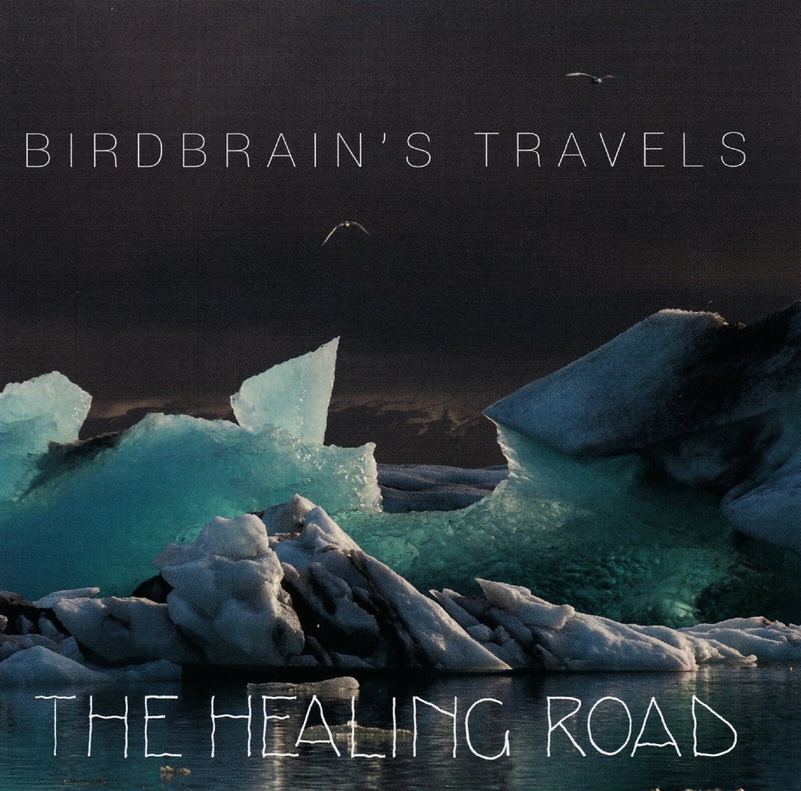 The Healing Road - Birdbrain's Travels                                     (neu)