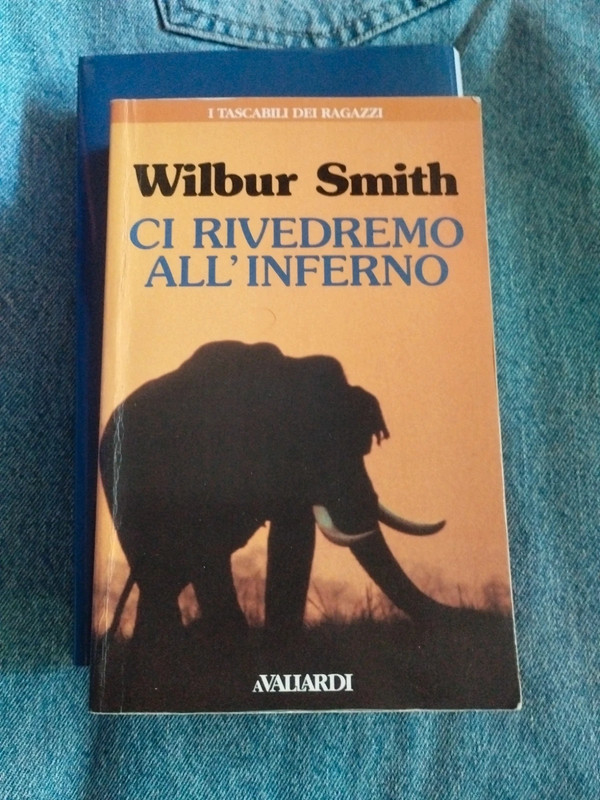 Libro romanzo
