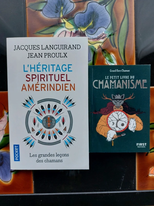Lot de 2 livres sur le chamanisme