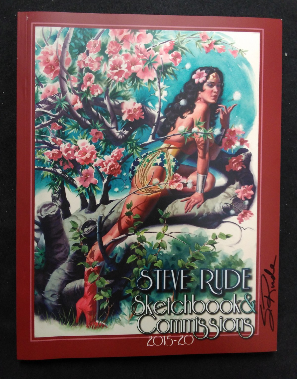 STEVE RUDE LIBRO DA DISEGNO FIRMATO E COMMISSIONI 2015-20 GRANDE LIBRO D'ARTE.