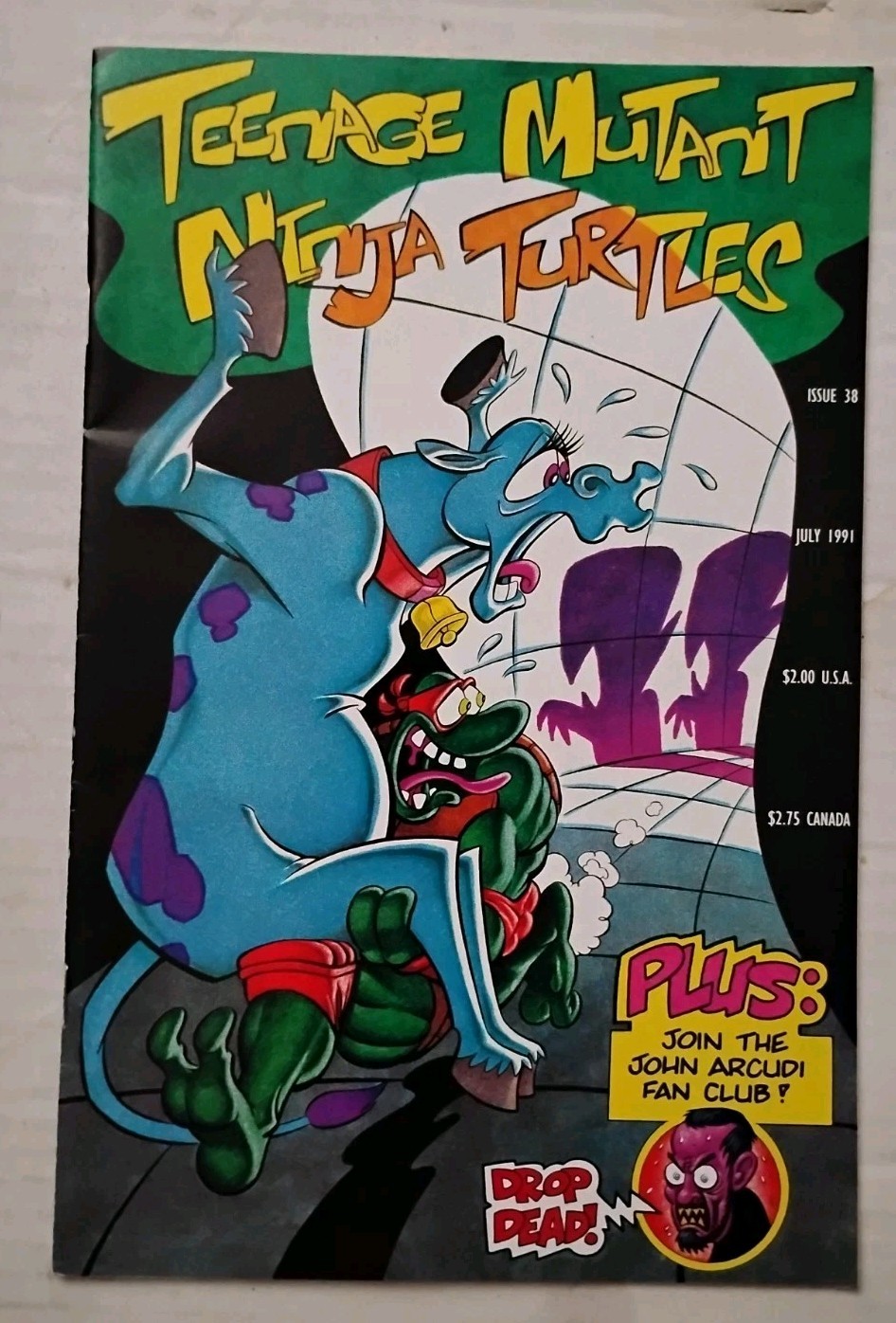 Teenage Mutant Ninja Turtles #38 Vol. 1 Mirage Studios 1991