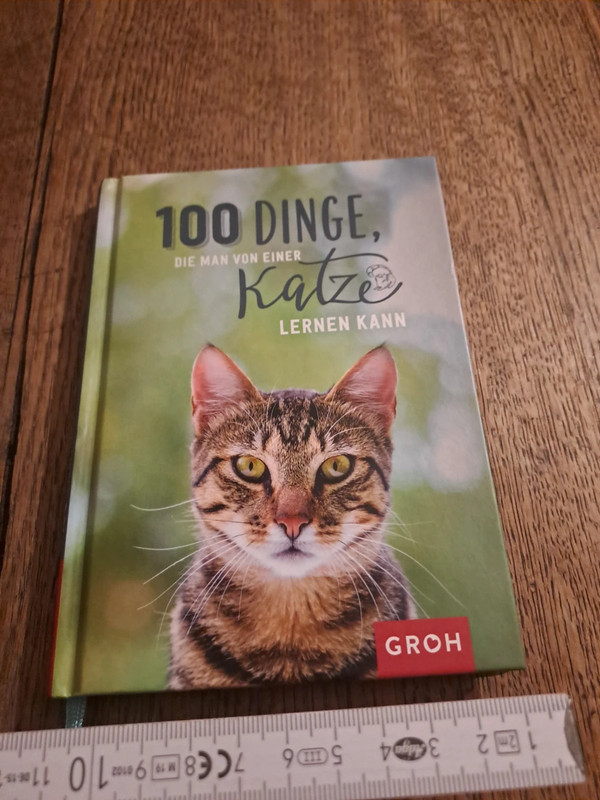 Süßes kleines Katzen Buch Mitbringsel katzenbuch von Katzen fürs Leben lernen
