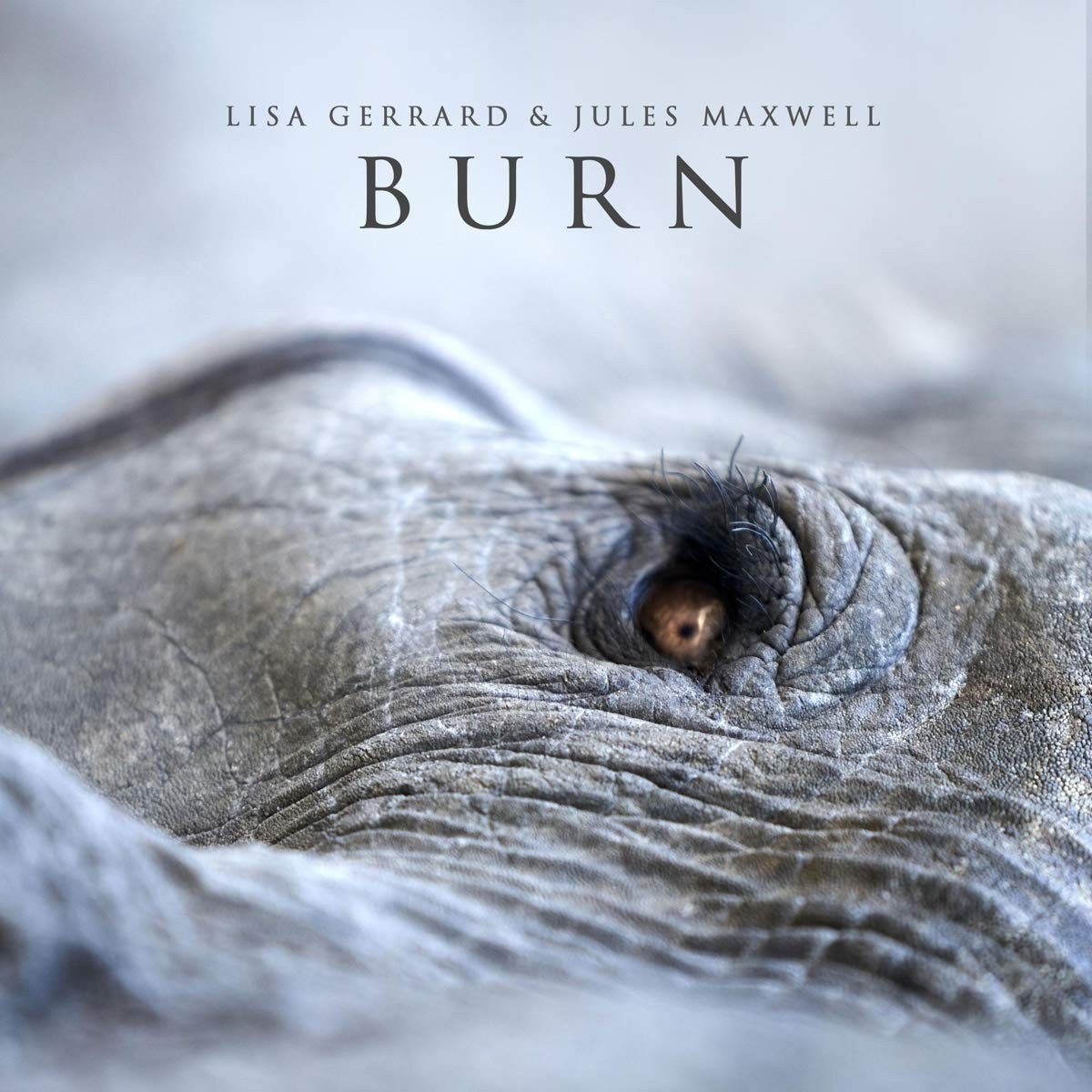 LISA & JULES MAXWELL GERRARD - BURN   VINYL LP NEUF